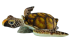 Animated Plush toy Turtle width 97cm, Hansa (0906)