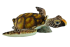 Plush toy Sea turtle width 90cm, Hansa (8842)