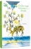 Дитяча література Книга Богдан - Ігор Антонич - дітям, Апріорі (96317)