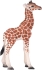 Animal figurine toy. Giraffe calf, Mojo (10341)