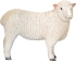 Animal figurine toy. Sheep, Mojo (10648)