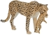 Animal figurine toy. Cheetah trap with cubs, Mojo (71670)
