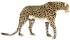 Мягкая игрушка HANSA Жаккардовый гепард (6544)