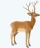 Animated Plush Toy HANSA White-tailed deer (0185)