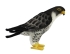 Plush Toy Falcon height 27cm, Hansa (84338)
