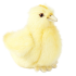 Plush Toy Chicken, length 13 cm, Hansa (48118)
