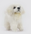 Plush Toy HANSA Shepherd puppy Maremo 17 cm (6957)