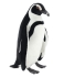 African penguin Plush Toy, Hansa, 66 cm, art. 7109