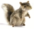 Plush Toy HANSA Gray squirrel (5676)