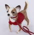 Plush Toy HANSA Chihuahua in a shirt, 24cm (7551)