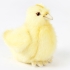 Мягкая игрушка HANSA Цыпленок (4811)