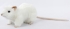 Plush Toy HANSA White rat, 19cm (7529)