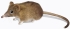 Plush Toy HANSA Mouse, 14cm (7233)