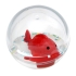 Bass&Bass® Baby Bath Toy Fish, Made in Europe, 10 cm (B38204)